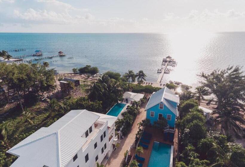 Weezie S Ocean Front Hotel And Garden Cottages