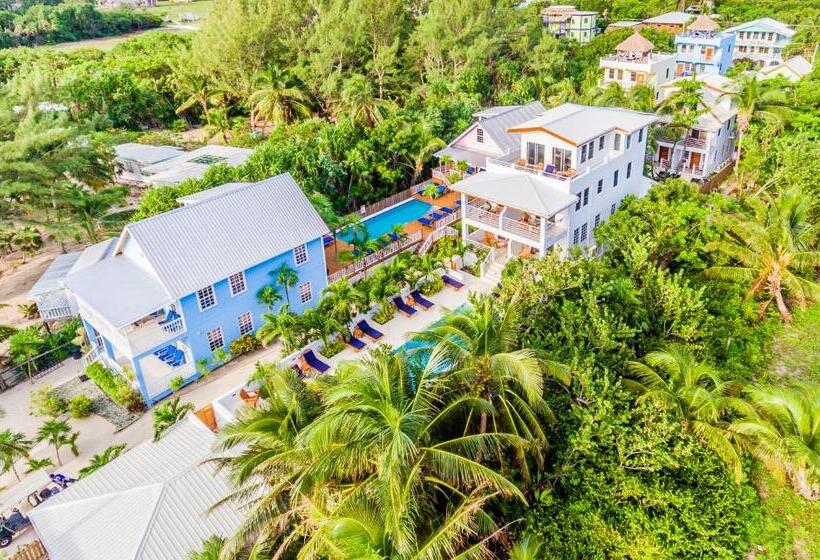 Weezie S Ocean Front Hotel And Garden Cottages