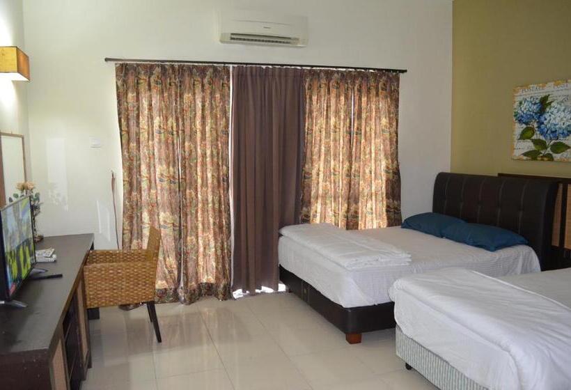 Gold Coast Morib Ain Studio