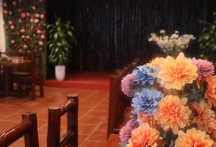 هتل Cyan Sapa Homestay