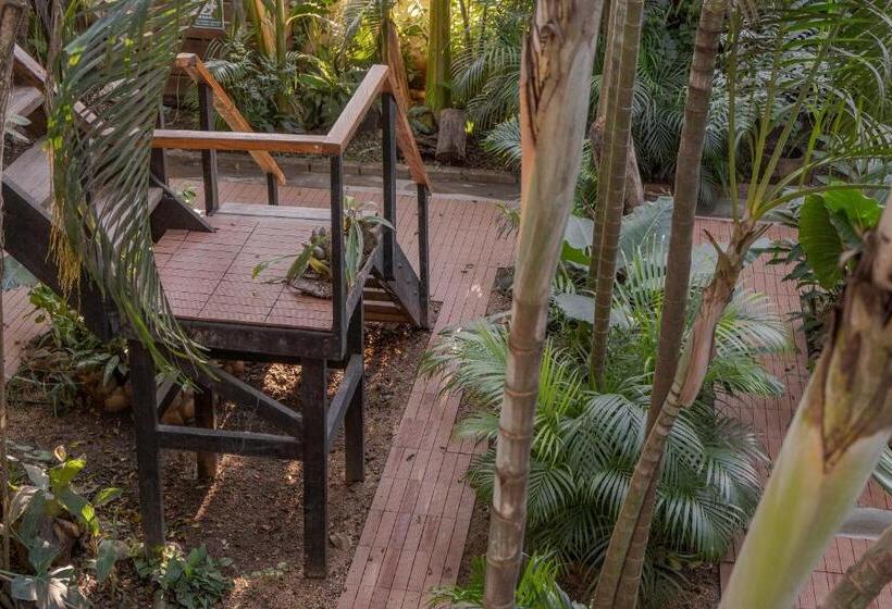 호텔 El Refugio De Sayulita   Health And Wellness House