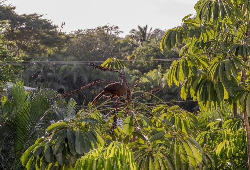 호텔 El Refugio De Sayulita   Health And Wellness House
