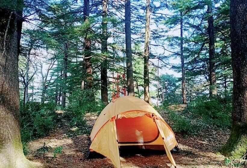 호텔 Neo Himalyan Stays