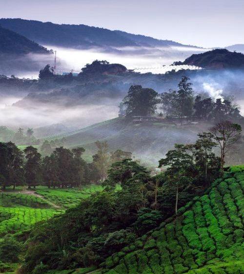 فندق Ou Inn Cameron Highlands ,ferm Nyonya Restaurant