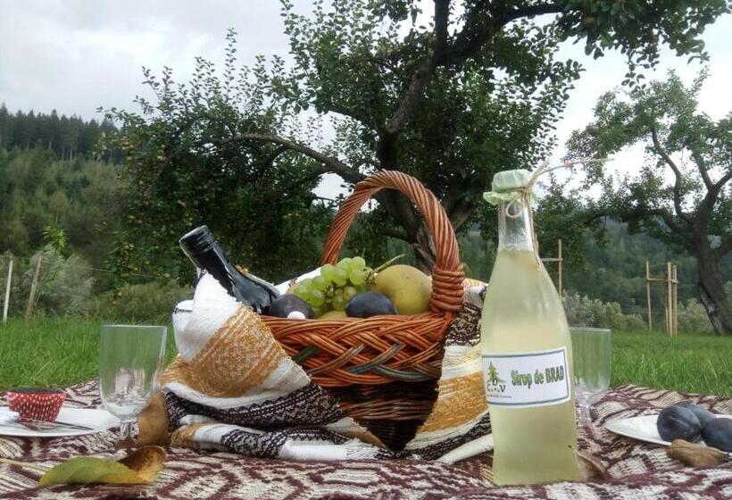 펜션 Casa Bradul Voronet