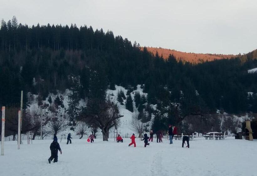 بنسيون Casa Bradul Voronet