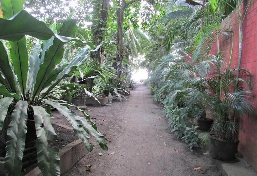 پانسیون Felipa Beach Residence   Ilang Ilang