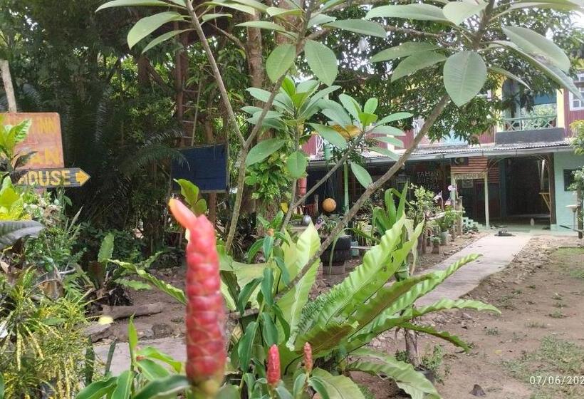 פנסיון Tahan Guest House