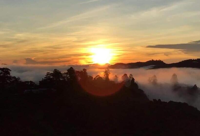 Курорт Cameron Highlands Blueberry Earth House