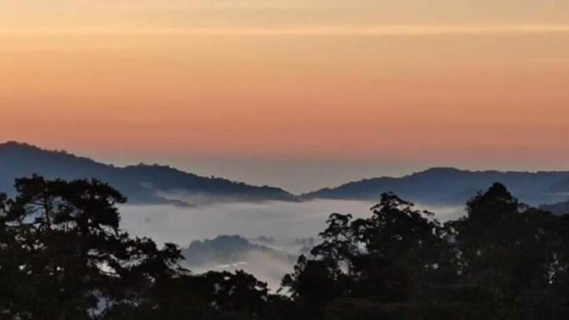 Курорт Cameron Highlands Blueberry Earth House