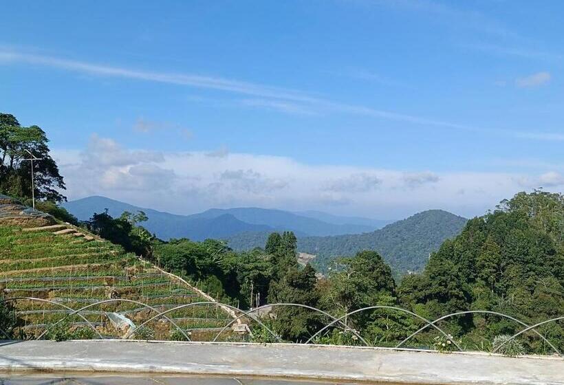 Курорт Cameron Highlands Blueberry Earth House