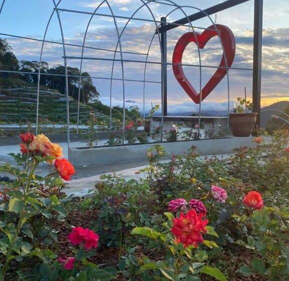 Курорт Cameron Highlands Blueberry Earth House