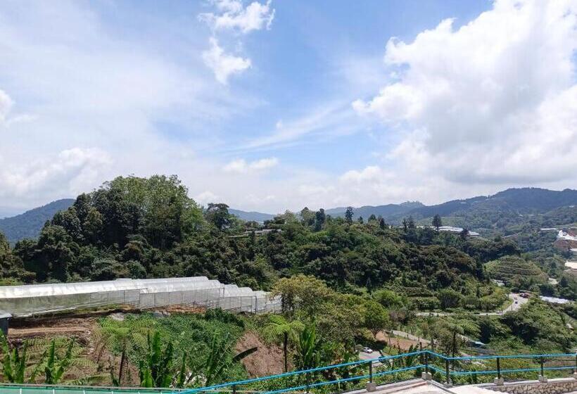 Курорт Cameron Highlands Blueberry Earth House