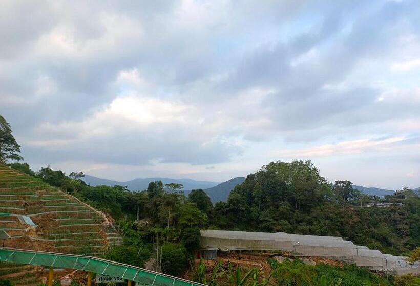 Курорт Cameron Highlands Blueberry Earth House