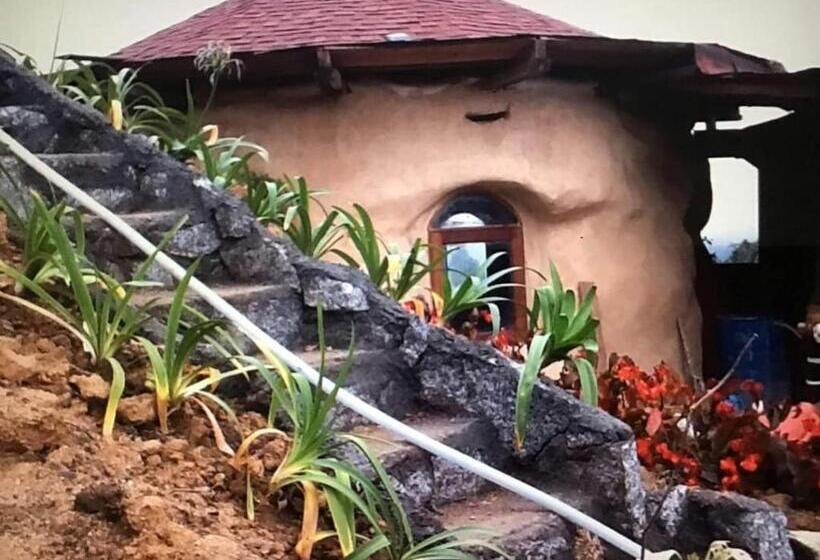 Курорт Cameron Highlands Blueberry Earth House