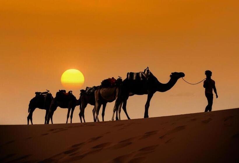 里亚德 Dar Hassi Labied