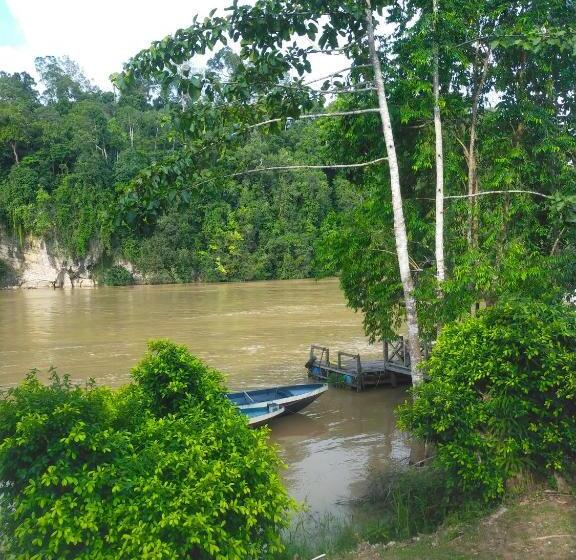 Sukau Tomanggong View Bed & Breakfast