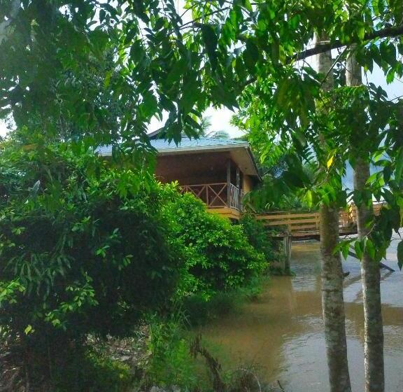 Sukau Tomanggong View Bed & Breakfast