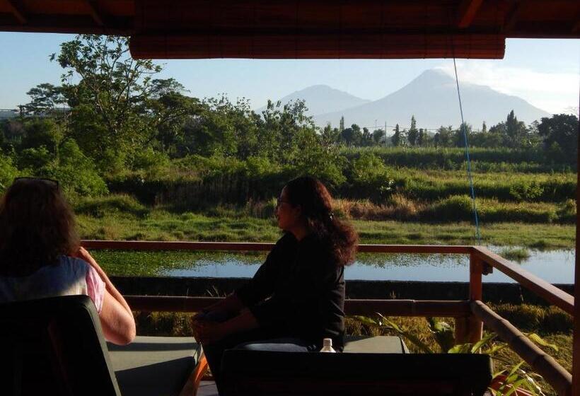 Bed and Breakfast Alamanda Family Villas, Pool & Local Tours