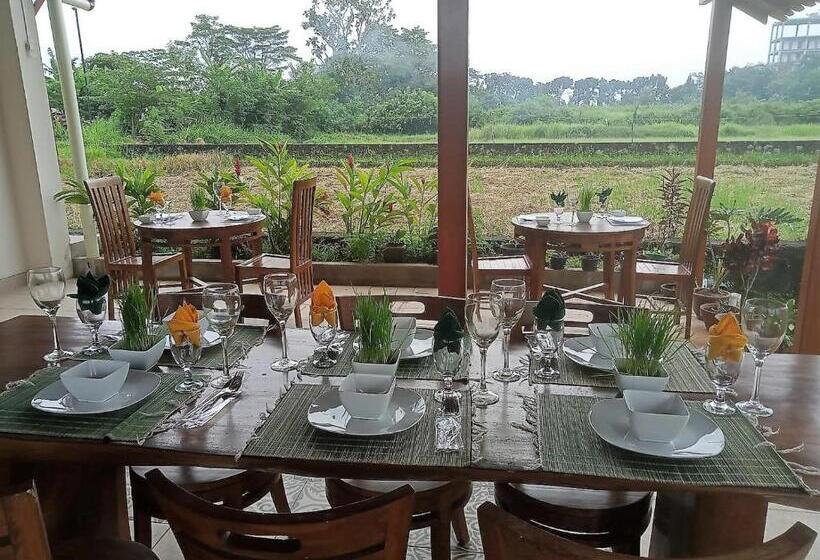 Bed and Breakfast Alamanda Family Villas, Pool & Local Tours