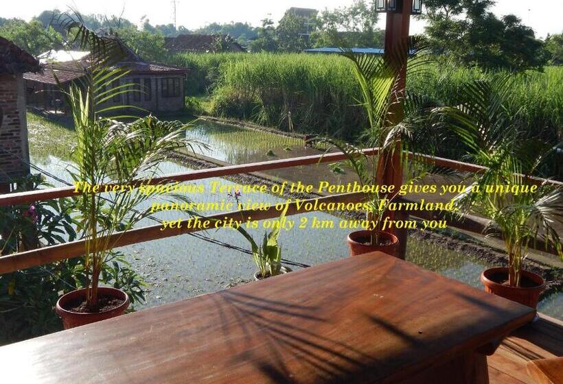 Bed and Breakfast Alamanda Family Villas, Pool & Local Tours