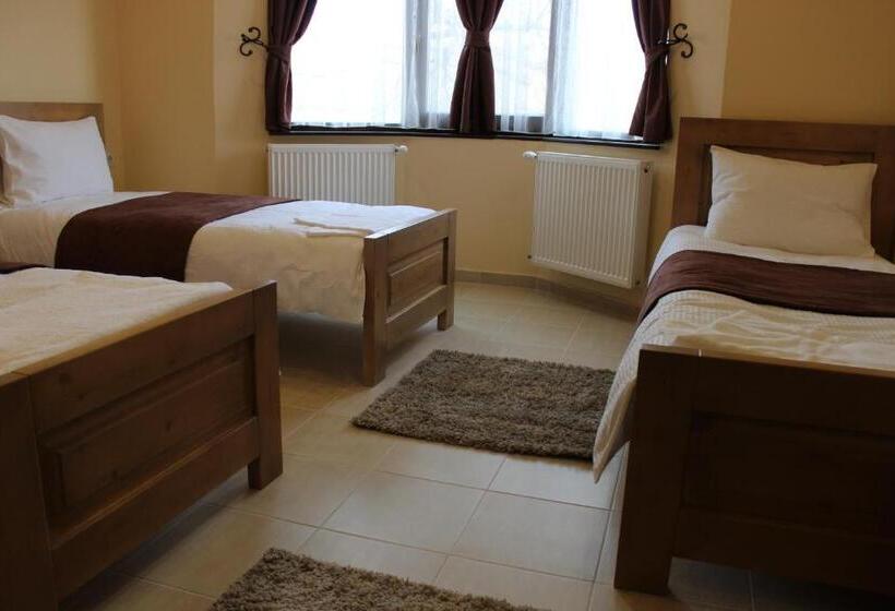 ベッドアンドブレックファースト Alice Panzió Gold