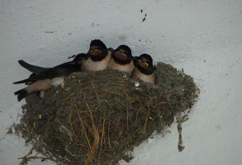 민박 Fónagy és Walter Vendég  és Borház