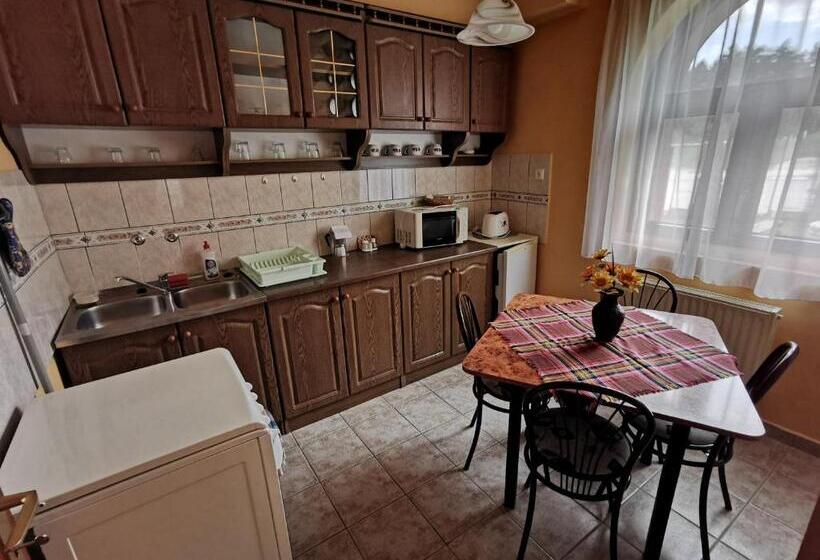 צימר Hegyi Panzió