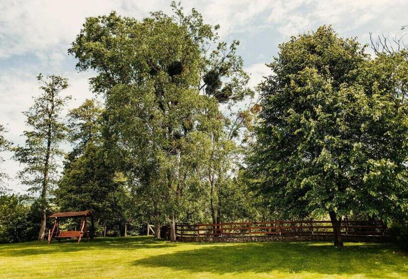 Bed and Breakfast Kakukk Vendéglő Panzió