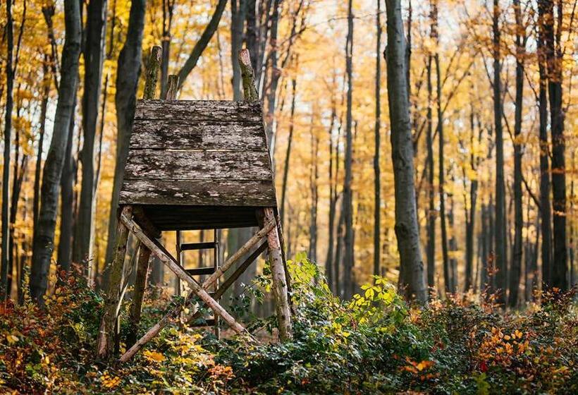 Bed and Breakfast Kakukk Vendéglő Panzió