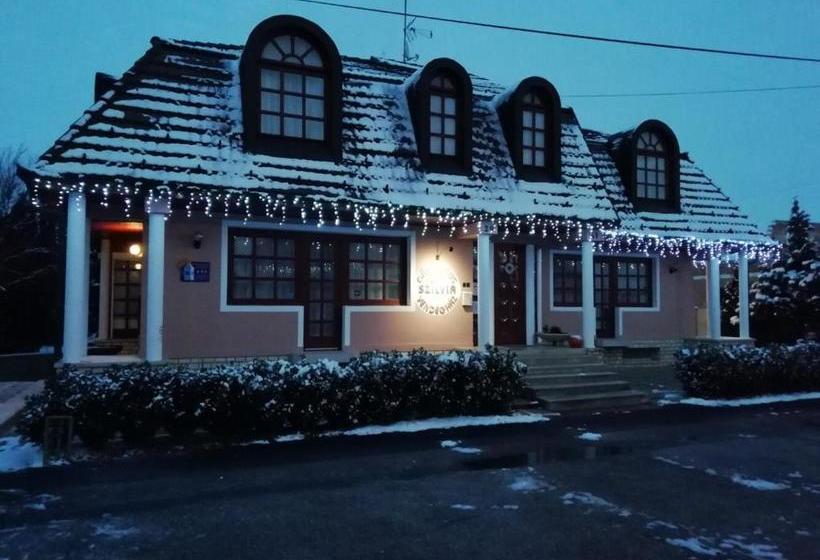 تختخواب و صبحانه Szilvia Gästehaus