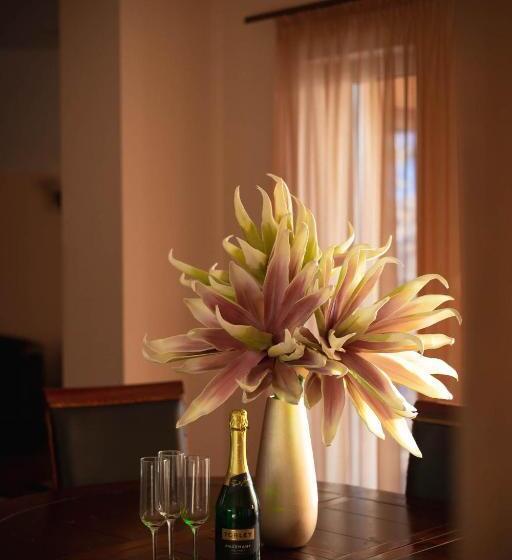 住宿加早餐  Maya Panzio Rezidencia