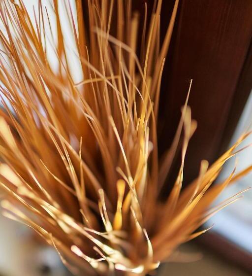 مبيت وإفطار Tercia Hubertus Panzió