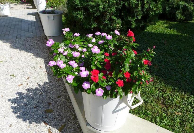 민박 Villa Astoria