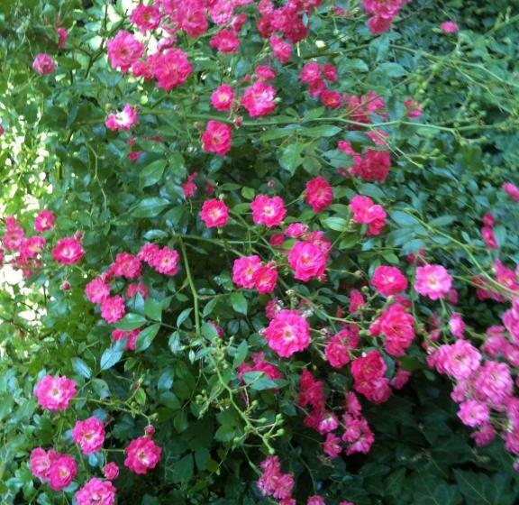 민박 Villa Astoria