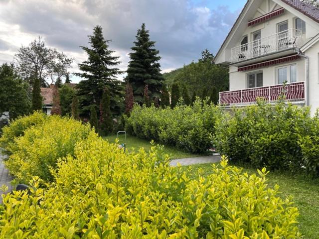 민박 Villa Astoria