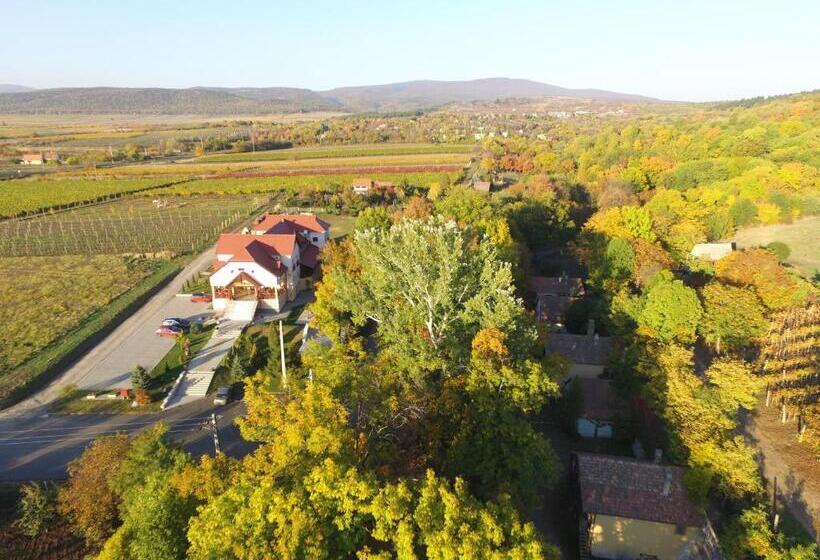 Borhotel Sziluett Farkasmály