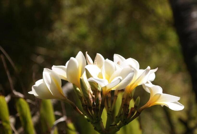 Cili Emas Oceanside Resort