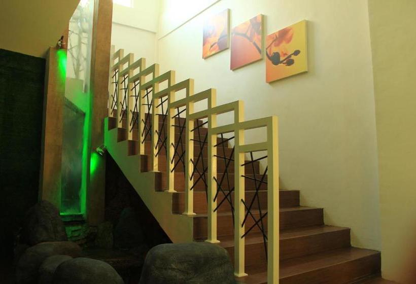 Evan Hotel   Non Smoking