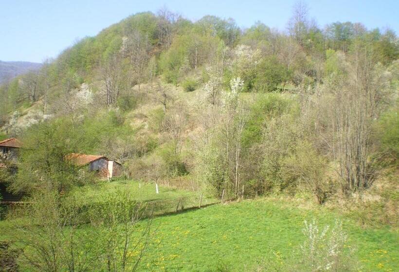 Family Hotel Balkana