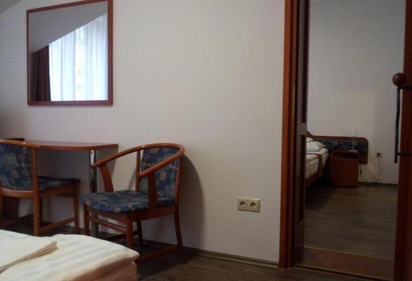 Fenyves Wellness Hotel Békéscsaba