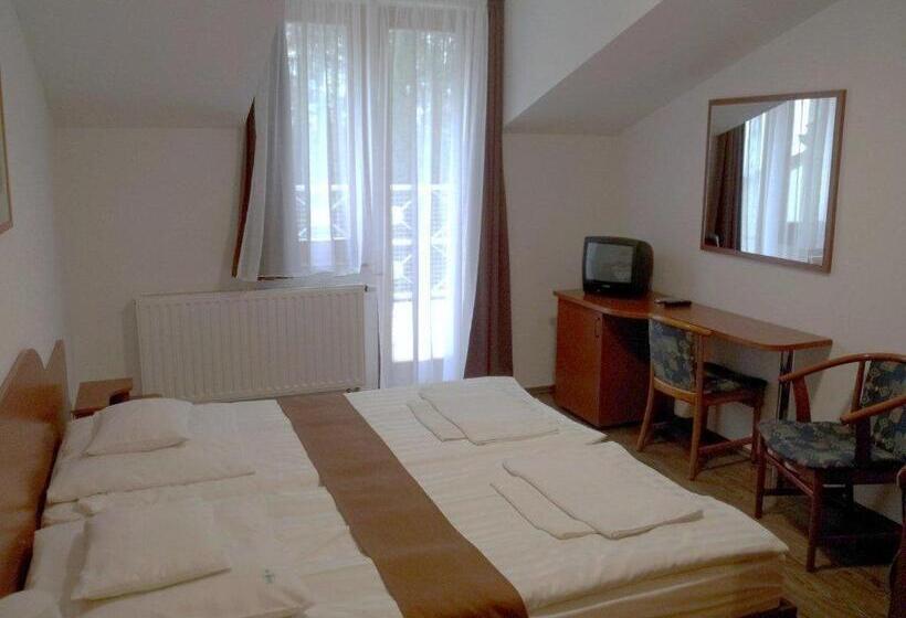 Fenyves Wellness Hotel Békéscsaba