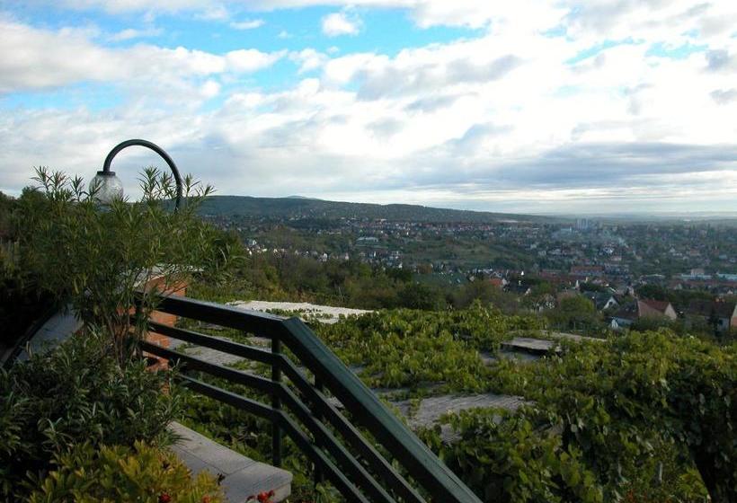 Отель Bagolyvár Panzió