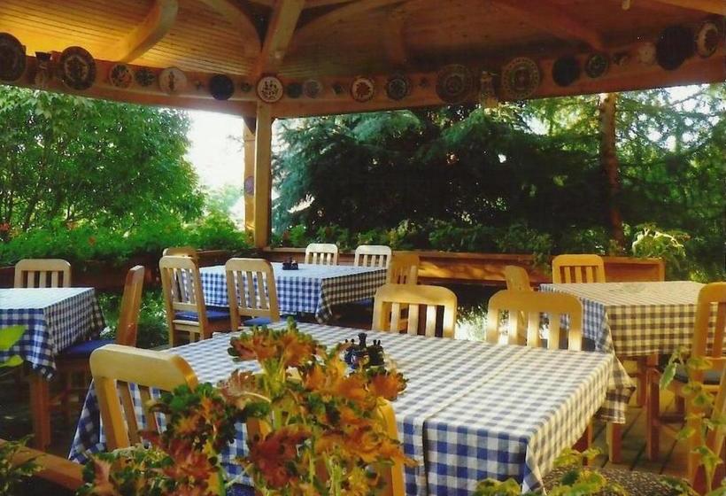 Отель Bagolyvár Panzió