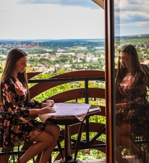 Отель Bagolyvár Panzió