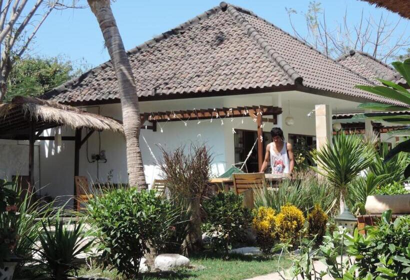 فندق Casus Dream