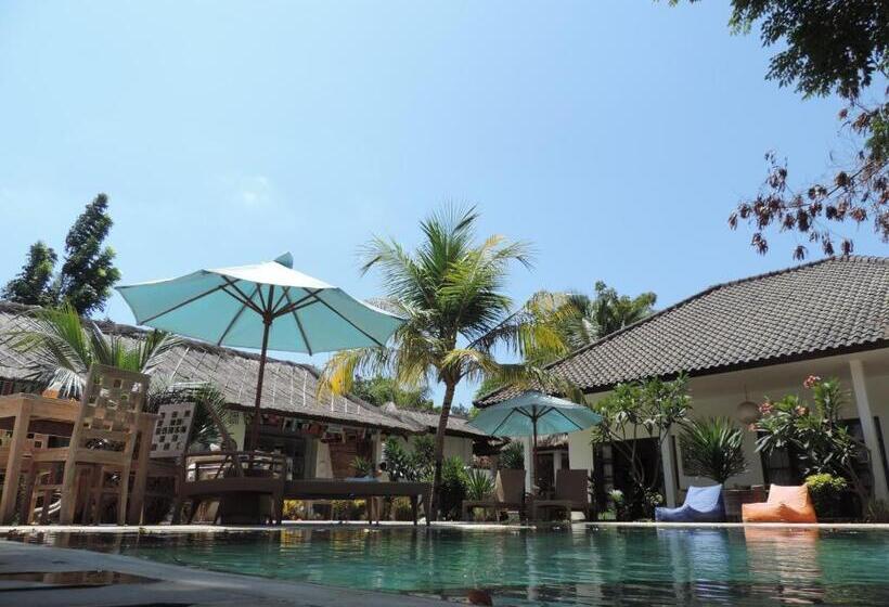 فندق Casus Dream