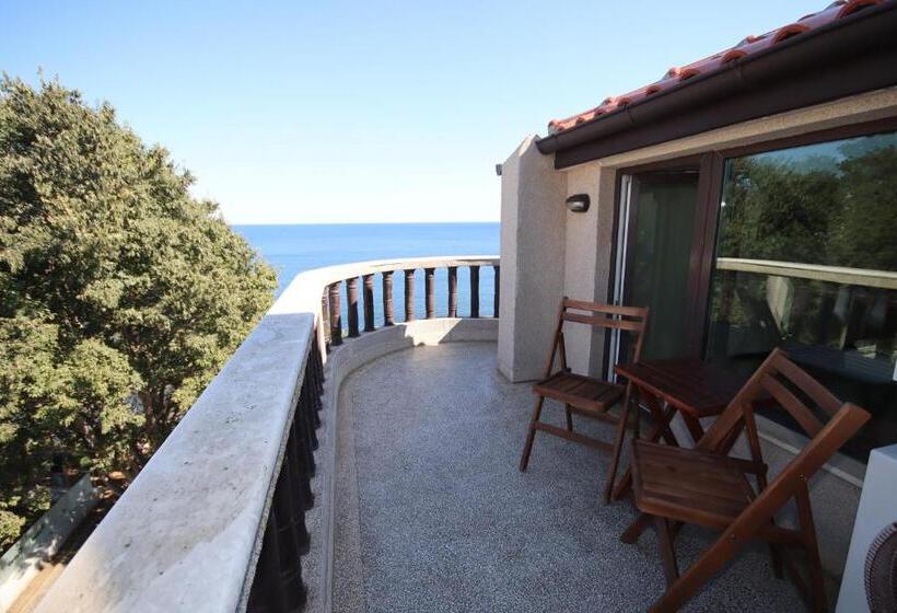 فندق Continental