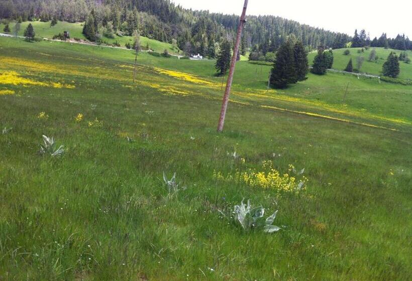 ホテル Coop Rozhen