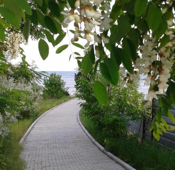 Family нouse нotel Asai